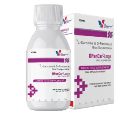 Drools DpanCar Large for Dogs and Cats,100 ML atIthinkpets.com