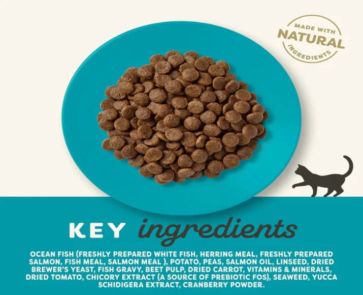 Applaws Cat Food Adult Ocean Fish with Salmon, Grain Free, 1.8 KG at ithinkpets.com (2)