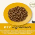 Applaws Grain Free Kitten Dry Food, Chicken, 2 KG at ithinkpets.com (2)