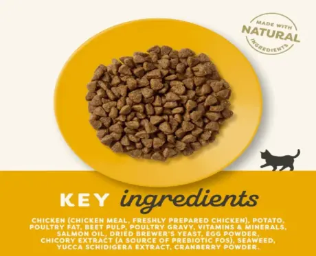 Applaws Grain Free Kitten Dry Food, Chicken, 2 KG at ithinkpets.com (2)