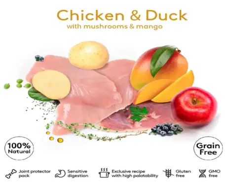 Dibaq Sense Grain Free Chicken and Duck with Mushrooms and Mango Hypoallergenic Adult Wet Dog Food,380 GM at ithinkpets.com (2)