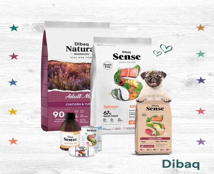Dibaq Sense Salmon Grain Free Hypoallergenic Adult Wet Dog Food, 380 GM at ithinkpets.com (6)