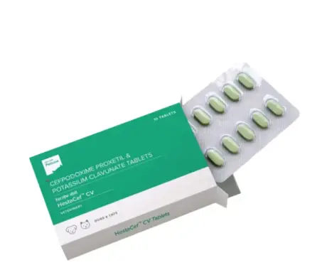 Hester Hestacef CV 162.5 MG (Cefpodoxime Proxetil) Tablet for Dogs and Cats atIthinkpets.com