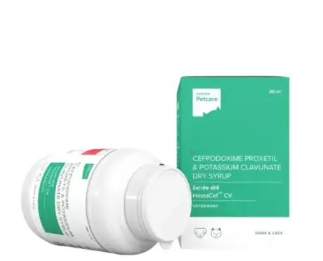 Hester Hestacef CV Dry Syrup (Cefpodoxime Proxetil) for Dogs and Cats, 30 ML atIthinkpets.com