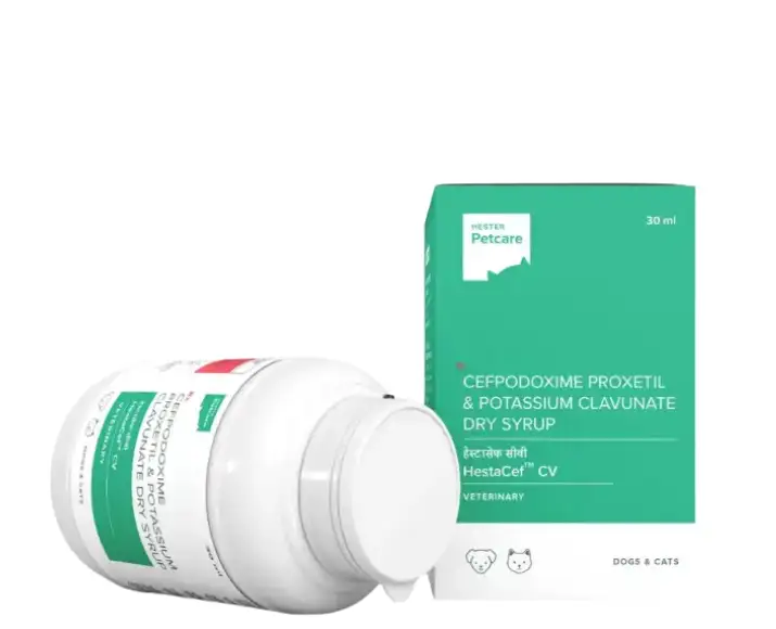 Hester Hestacef CV Dry Syrup (Cefpodoxime Proxetil) for Dogs and Cats, 30 ML atIthinkpets.com