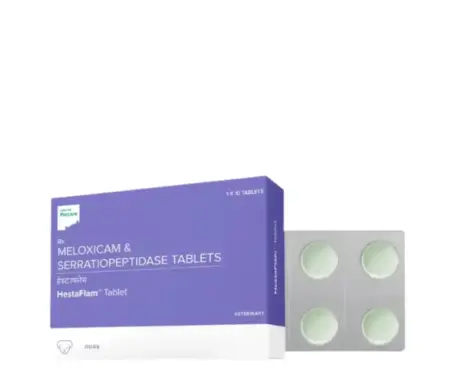 Hester Hestaflam Tablet (Meloxicam) for Dogs and Cats,10 Tablets atIthinkpets.com