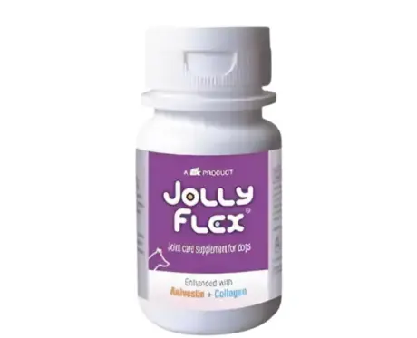 Ttk Jolly Flex Tablets Joint Supplement for Dogs, 30 Tablets atIthinkpets.com
