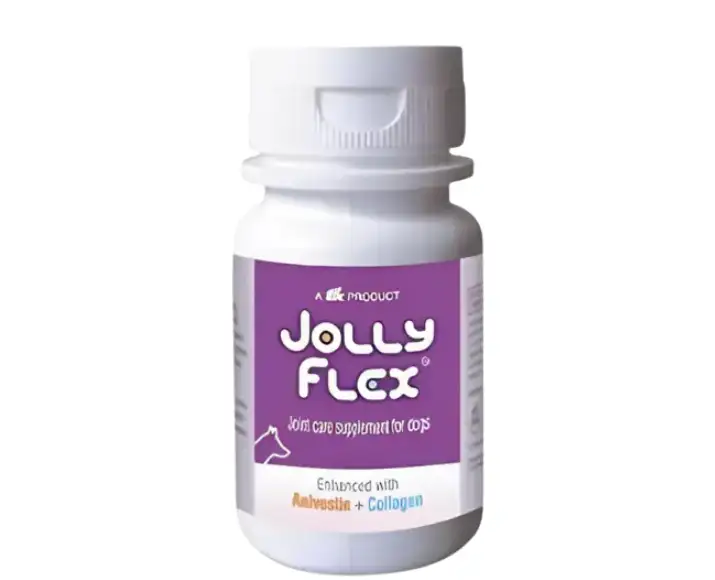 Ttk Jolly Flex Tablets Joint Supplement for Dogs, 30 Tablets atIthinkpets.com