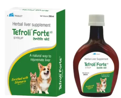 Ttk Tefroli Forte Herbal Liver Syrup, 200 ML atIthinkpets.com