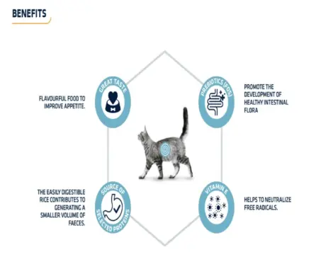 Affinity Advance Gastroenteric Cat Pouch Wet Food, 85 GM at ithinkpets.com (2)