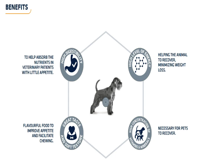 Affinity Advance Recovery Wet Food Pouch for Dogs & Cats, 100 GM at ithinkpets.com (3)