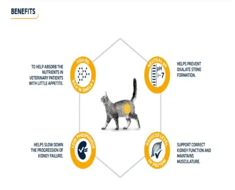 Affinity Advance Renal Cat Pouch Wet Food, 85 GM at ithinkpets.com (2)