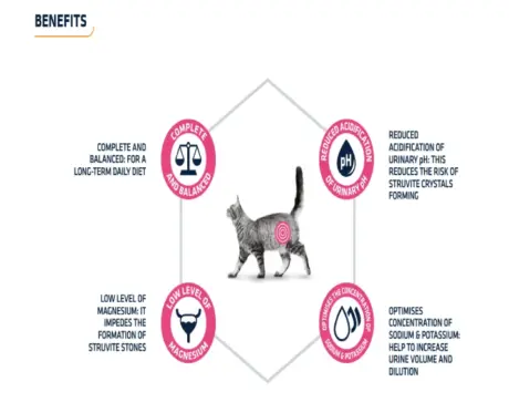 Affinity Advance Urinary Cat Pouch Wet Food, 85 GM at ithinkpets.com (2)