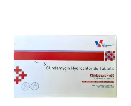 Drools Clindaguard Chewable Tablets for Dogs & Cats, 30 Tablets at ithinkpets.com (1) (1)