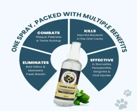 Fur Ball Story Canni Clean Dental Spray For Oral Hygiene in Dogs & Cats, 100 ML at ithinkpets.com (2)