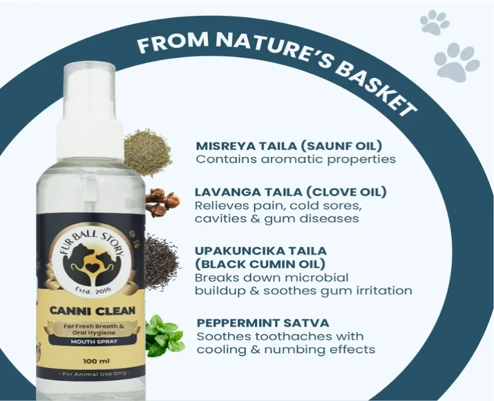 Fur Ball Story Canni Clean Dental Spray For Oral Hygiene in Dogs & Cats, 100 ML at ithinkpets.com (3)