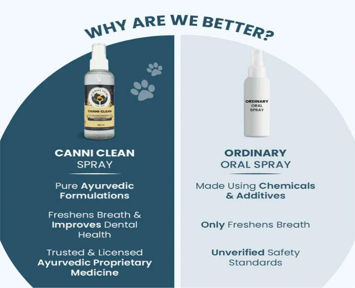 Fur Ball Story Canni Clean Dental Spray For Oral Hygiene in Dogs & Cats, 100 ML at ithinkpets.com (4)