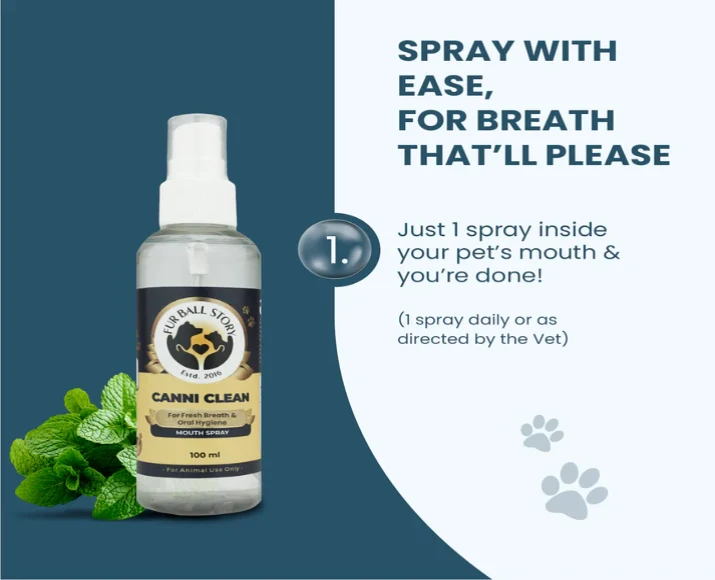 Fur Ball Story Canni Clean Dental Spray For Oral Hygiene in Dogs & Cats, 100 ML at ithinkpets.com (5)