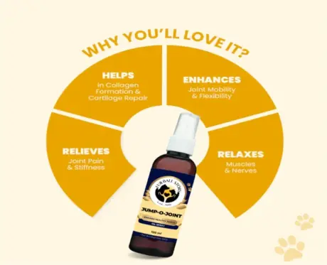 Fur Ball Story Jump O Joint Oil, Joint Pain Relief in Dogs & Cats, 100 ML at ithinkpets.com (2)