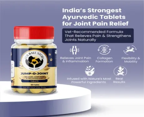 Fur Ball Story Jump O Joint Tablet, For Joint Pain in Dogs & Cats, 60 Tablets at ithinkpets.com (2)