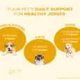 Fur Ball Story Jump O Joint Tablet, For Joint Pain in Dogs & Cats, 60 Tablets at ithinkpets.com (6)