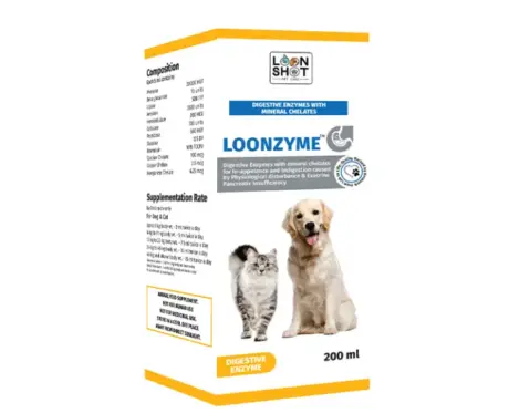 Loonshot Loonzyme Liquid for Dogs & Cats, 200 ML at ithinkpets.com (1)