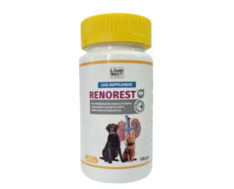 Loonshot Renorest Powder for Dogs & Cats, 100 GM at ithinkpets.com (1)