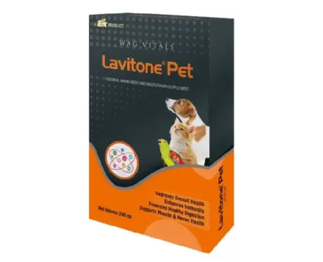 Ttk Lavitone Pet Syrup Multivitamin and Amino Acid Supplement for Dogs and Cats, Birds, 200 ML at ithinkpets.com (1) (1)