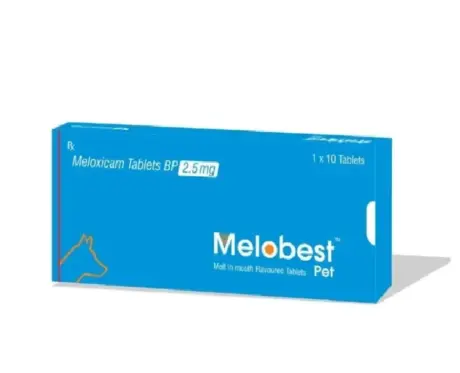 Ttk Melobest Pet 2.5 MG (Meloxicam) Tablet for Dogs at ithinkpets.com (1) (1)
