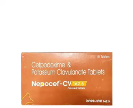 Ttk Nepocef CV 162.5 MG Tablet for Dogs and Cats, 30 Tablets ithinkpets.com