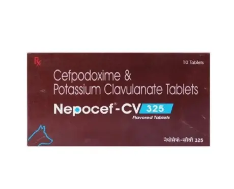 Ttk Nepocef CV 325 MG Tablet for Dogs and Cats, 30 Tablets at ithinkpets.com (1) (1)