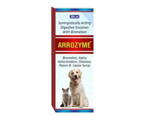 Welkine Arrozyme Syrup