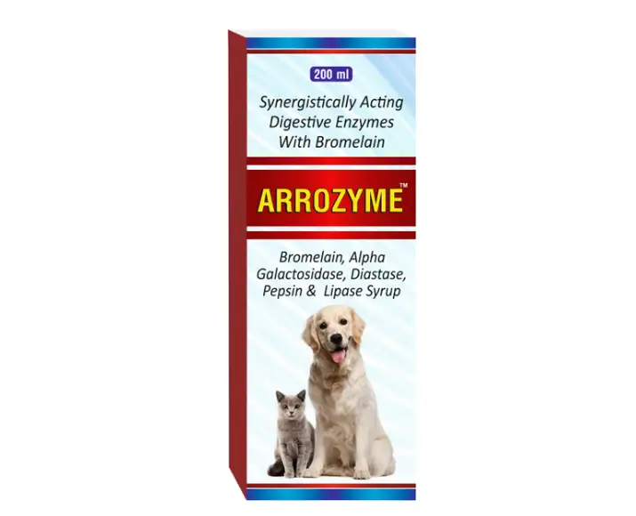 Welkine Arrozyme Syrup