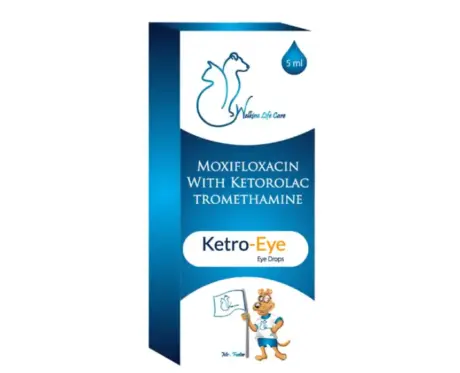 Welkine Ketro Eye Drops for Dogs & Cats, 5 ML at ithinkpets.com (1)