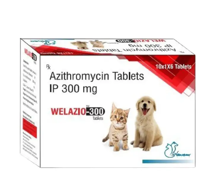 Welkine Welazio 300 For Dogs & Cats, 6 tablets at ithinkpets.com (1)