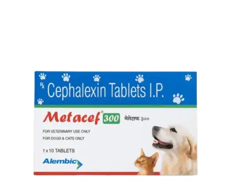 Alembic Metacef 300 MG (Cephalexin) for Dogs and Cats, 10 Tablets at ithinkpets.com (1)