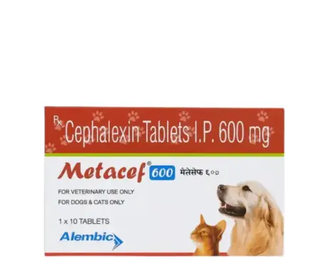 Alembic Metacef 600 MG (Cephalexin) for Dogs and Cats, 10 Tablets at ithinkpets.com (1)
