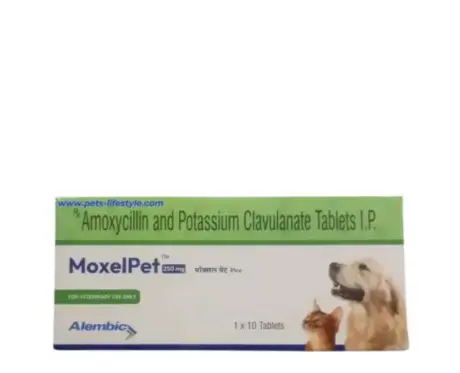 Alembic MoxelPet 250 MG (Amoxycillin & Potassium Clavulanate) Tablet for Dogs & Cats, 10 Tablets at ithinkpets.com (1)
