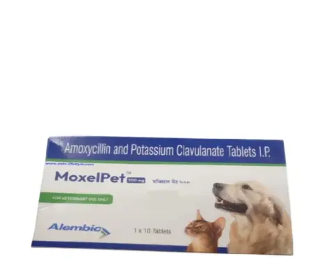 Alembic MoxelPet 500 MG (Amoxycillin & Potassium Clavulanate) Tablet for Dogs & Cats, 10 Tablets at ithinkpets.com (1) (2)
