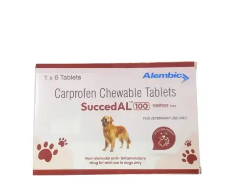 Alembic SuccedAL 100 MG (Carprofen) Tablets for Dogs, 6 Tablets at ithinkpets.com (1) (2)