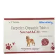 Alembic-SuccedAL-50-MG-Carprofen-Tablets-for-Dogs-6-Tablets-at-ithinkpets.com-1 (1)