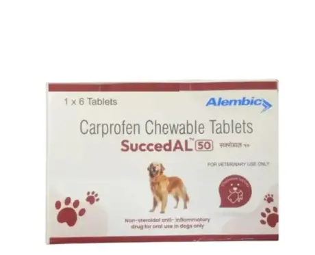 Alembic-SuccedAL-50-MG-Carprofen-Tablets-for-Dogs-6-Tablets-at-ithinkpets.com-1 (1)