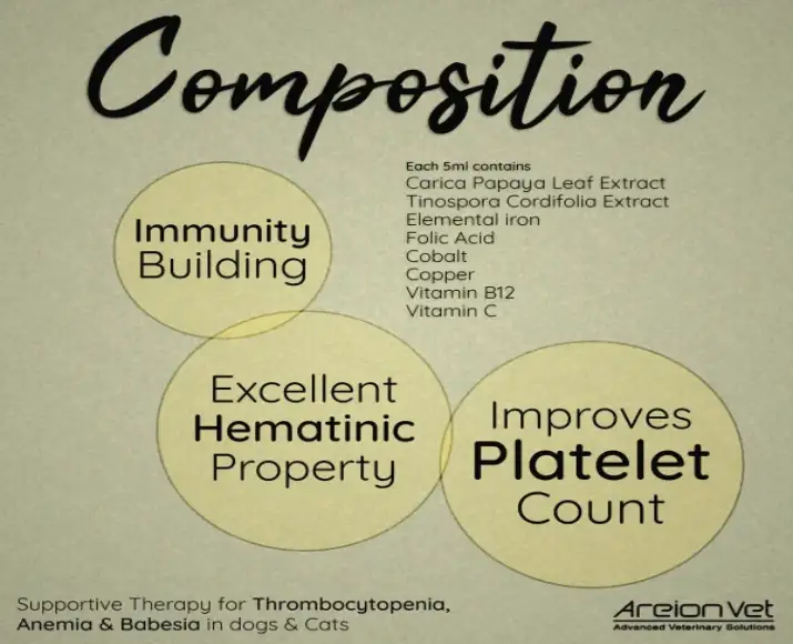 Areion-Vet-Carisyp-Syrup-for-Dogs-and-Cats100-ML-Ithinpets (1)