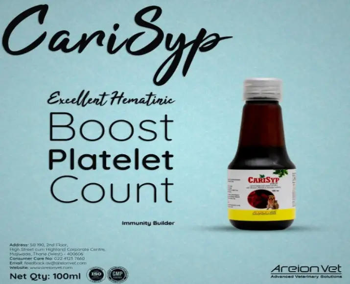 Areion-Vet-Carisyp-Syrup-for-Dogs-and-Cats100-ML-Ithinpets (1)