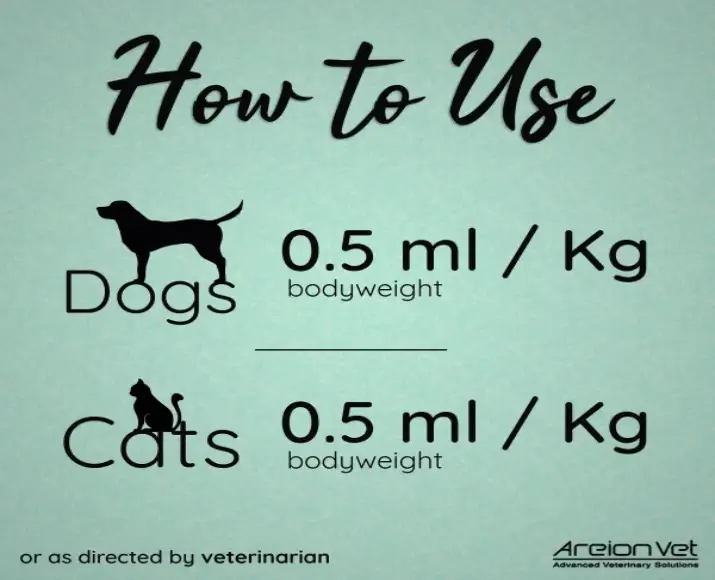 Areion-Vet-Carisyp-Syrup-for-Dogs-and-Cats100-ML-Ithinpets (1)