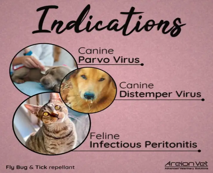 Areion-Vet-Envurol-Disinfectant-for-Pet-Homes-Kennels-2-Sizes-Ithinkpets (1)