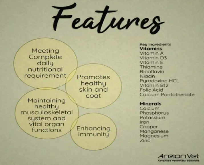 Areion-Vet-Nutritop-Multivitamin-Mineral-Supplement-for-Dogs-and-Cats-60-Tablets-atPetmedicine-1