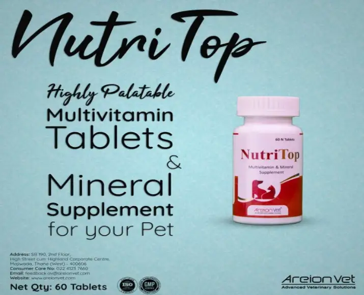 Areion-Vet-Nutritop-Multivitamin-Mineral-Supplement-for-Dogs-and-Cats-60-Tablets-atPetmedicine-1