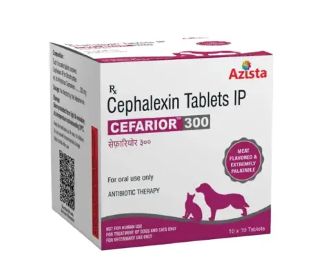 Azista Cefarior 300 MG, Cefarior Cephalexin Tablets for Dogs & Cats, 10 Tablets at ithinkpets.com (1)