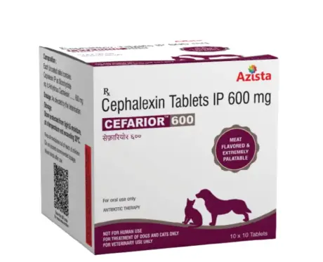 Azista Cefarior 600 MG, Cefarior Cephalexin Tablets for Dogs & Cats, 10 Tablets at ithinkpets.com (1)
